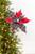 19" Red Plaid Poinsettia