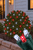 Net Cool White/Red - 5mm 100L 4'x6'
on bush