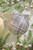 4" Silver Glass Diagonal Plaid Ball Ornament