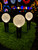 G50 Wonderful LED SMD Bulb (25 bulbs/bag) - Faceted, Pure White