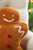 Gingerbread Man Pillow Close Up