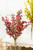 Seed Berry Bush Spray Pink