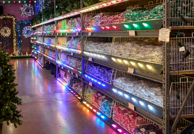 A Guide to C9 Christmas Lights
