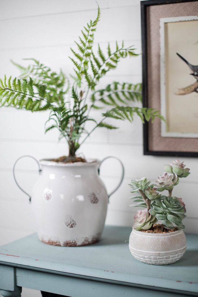 Indoor Accents Thumbnail