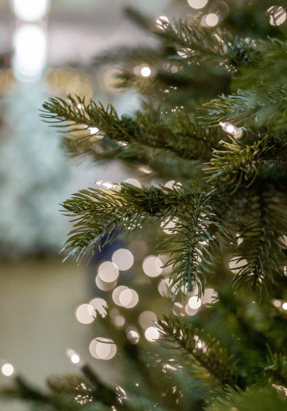 The Best Christmas Tree Storage Solution Decorator's Warehouse