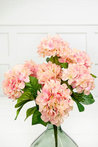 Hydrangea_Bush_pink_147923__86