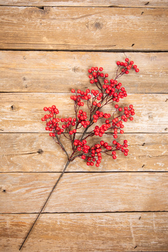 26 Three Stem Berry Spray: Cream