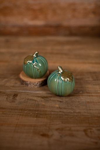 Salt and Pepper Shakers - Turquoise