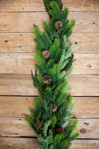 We all love the viral Norfolk Evergreen Garland! ✨Here are a few