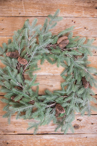 Western Larch Decorative Small Cones Create Rustic Accents