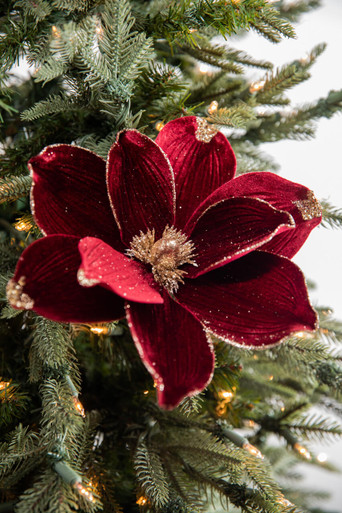 187344-burgundy-magnolia-