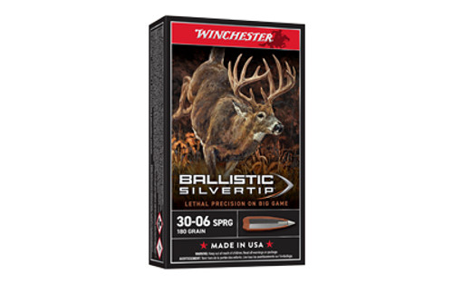 WIN BLSTC TIP 3006SP 180GR 20/200