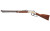 HENRY SPIRIT OF CORPS 22LR 20" 16RD
