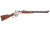 HENRY SPIRIT OF CORPS 22LR 20" 16RD
