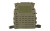 HSGI CORE PLATE CARRIER LG ODG