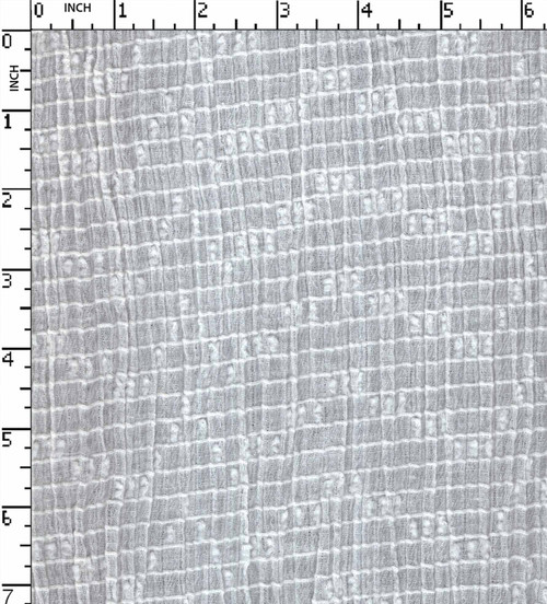 100% Cotton Bleached Dobby Rib With Swiss Dot White  High Twist W-42 Gsm-88 Wid-1177-Lb