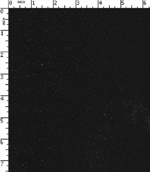 100% Polyester Solid Dyed Plain