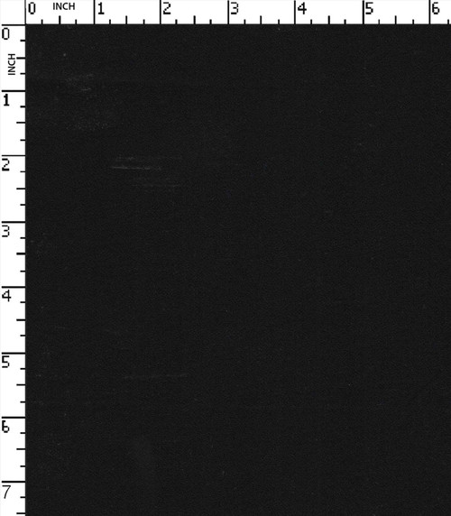 100% Cotton Yarn Dyed Plain