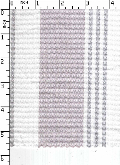 100% Cotton Yarn Dyed Matty