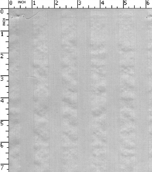 100% Viscose Greige Dobby Broad Stripe