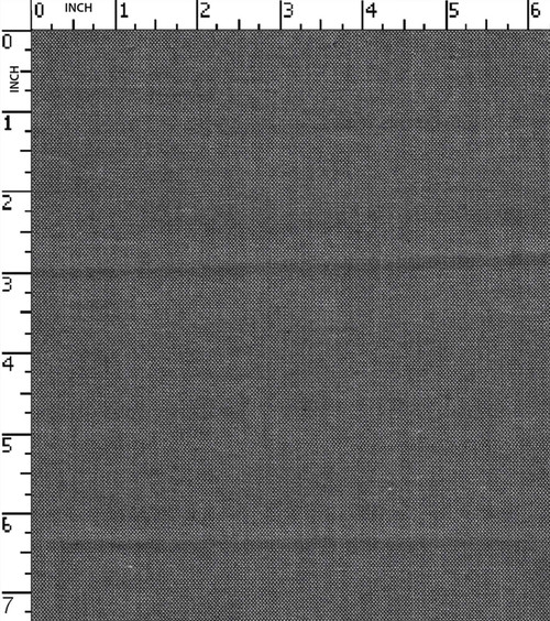 100% Cotton Yarn Dyed Oxford Chambray