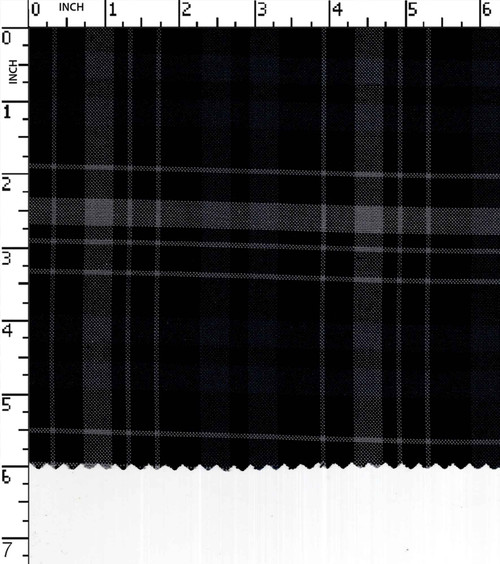100% Cotton Yarn Dyed Oxford Big Check
