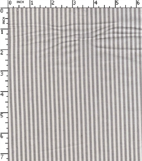 100% Cotton Yarn Dyed Oxford 2Mm Stripe