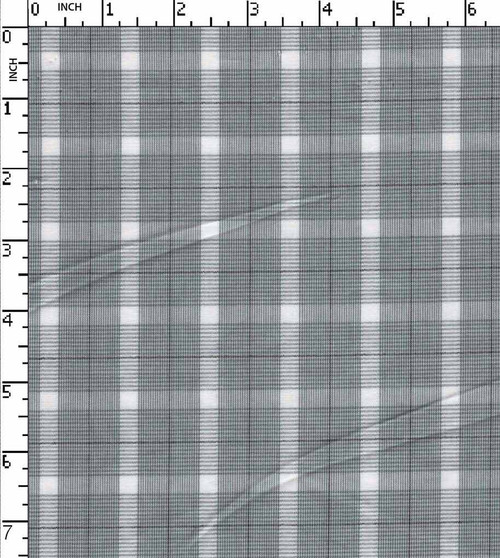 100% Cotton Yarn Dyed Plain Small Check With Rib White/Grey/Black   Gsm-110 Nem-7659-Ia