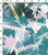 100% Polyester Printed Plain 100% Polyester Printed Plain