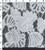 Nylon Rfd Lace Floral