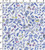 Cotton Lycra Printed Plain Abstract