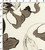 100% Cotton Printed Plain Traditional