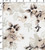 100% Cotton Printed Plain Flower With Leaf