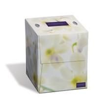 Embassy Facial Tissues, 2-Ply (100 Sheets/Box, 36 Boxes/Case) | Kruger