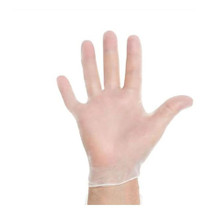 Vinyl Gloves, Powder-Free, Clear, 4 mil (100 gloves/box, 20 boxes/case)