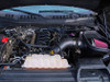 ROUSH Cold Air Kit 2015-2017 Ford F-150 5.0L V8 (421980)