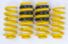 AST Suspension Lowering Springs (ASTLS-22-062) 2018-2021 Jeep Cherokee Trackhawk