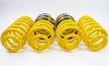 AST Suspension Lowering Springs (ASTLS-22-062) 2018-2021 Jeep Cherokee Trackhawk