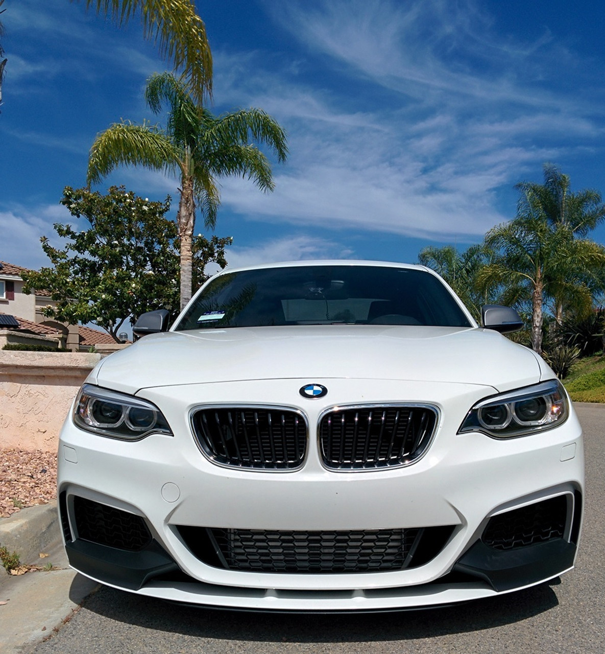 Evolution Racewerks FMIC, 2012-2016 BMW M235i / 335i / 435i (F30 / F32 /  F22)