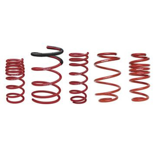 Skunk2 Lowering Springs 519-05-1580, 2006-2011 Honda Civic Si Skunk2 Lowering Springs 519-05-1580, 2006-2011 Honda Civic Si
