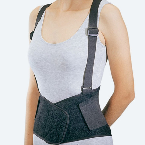 Industrial Back Support
