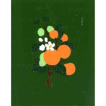 ORANGES TABLET W6: 8 3/4inch x 11inch GREEN