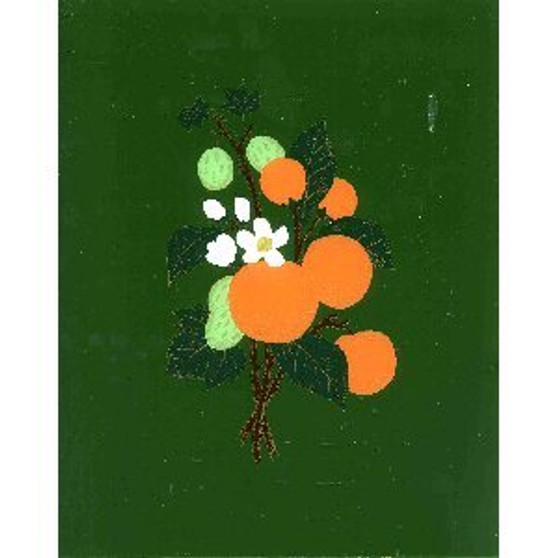 ORANGES TABLET W6: 8inch x 10inch GREEN