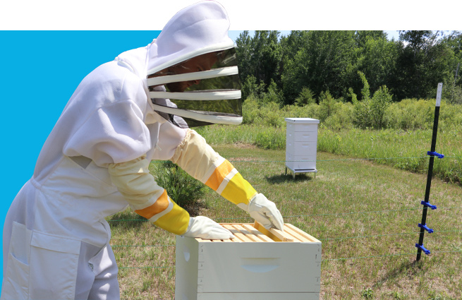 Make An Impact Image