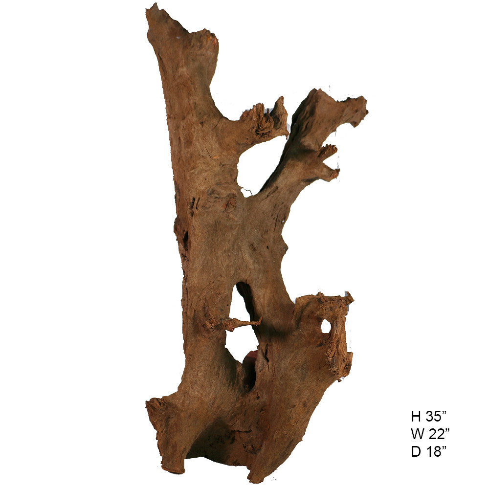 Malaysian Driftwood, Super WYSIWYG 35