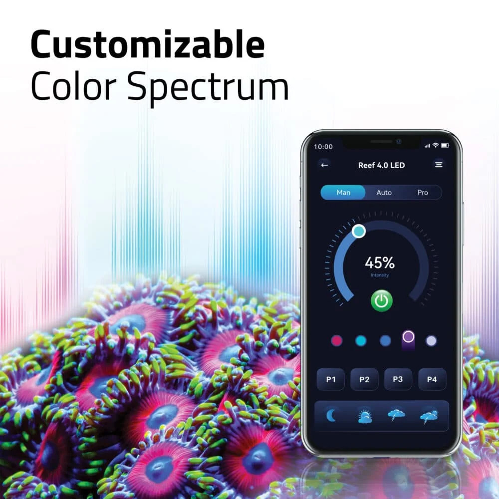 Fluval Reef 4.0 LED Fixture, 59W, 46.25-61″ - AquaCave.com | AquaCave