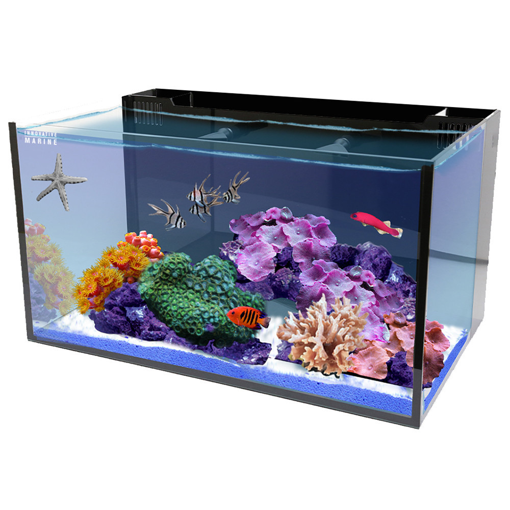 IM 20 NUVO Fusion AIO Long Aquarium - Starter Kit, PLUS - AquaCave