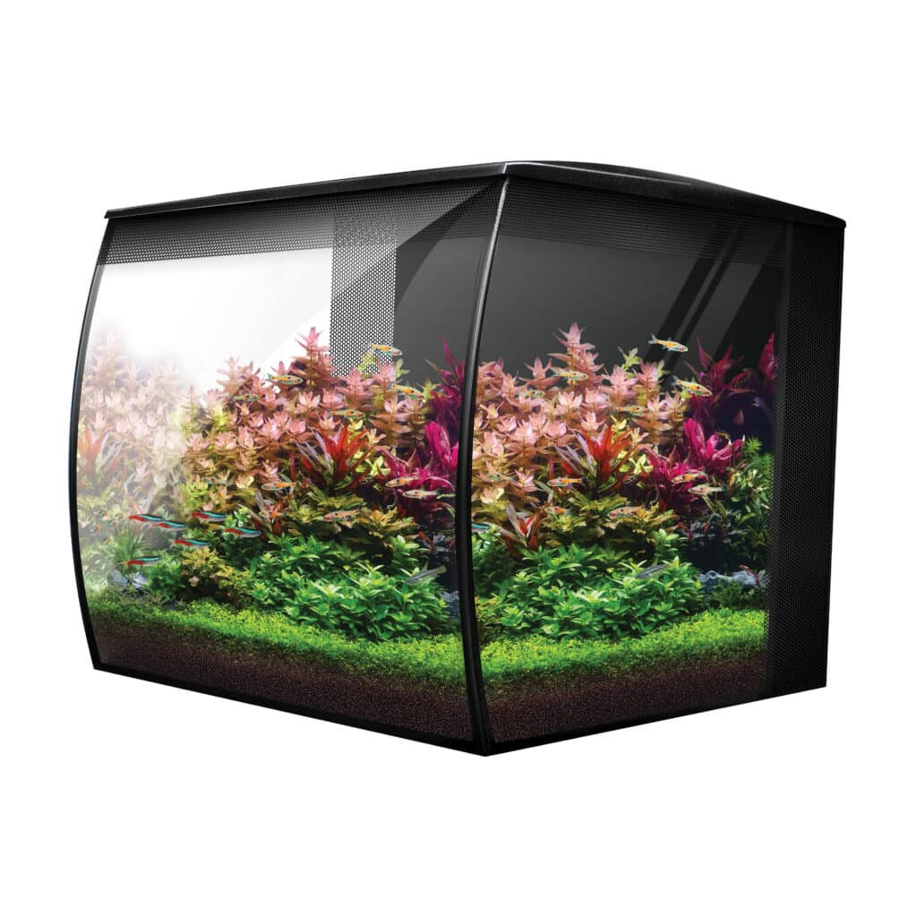 Fluval Flex 2.0 9 gal Aquarium Kit, Black | AquaCave