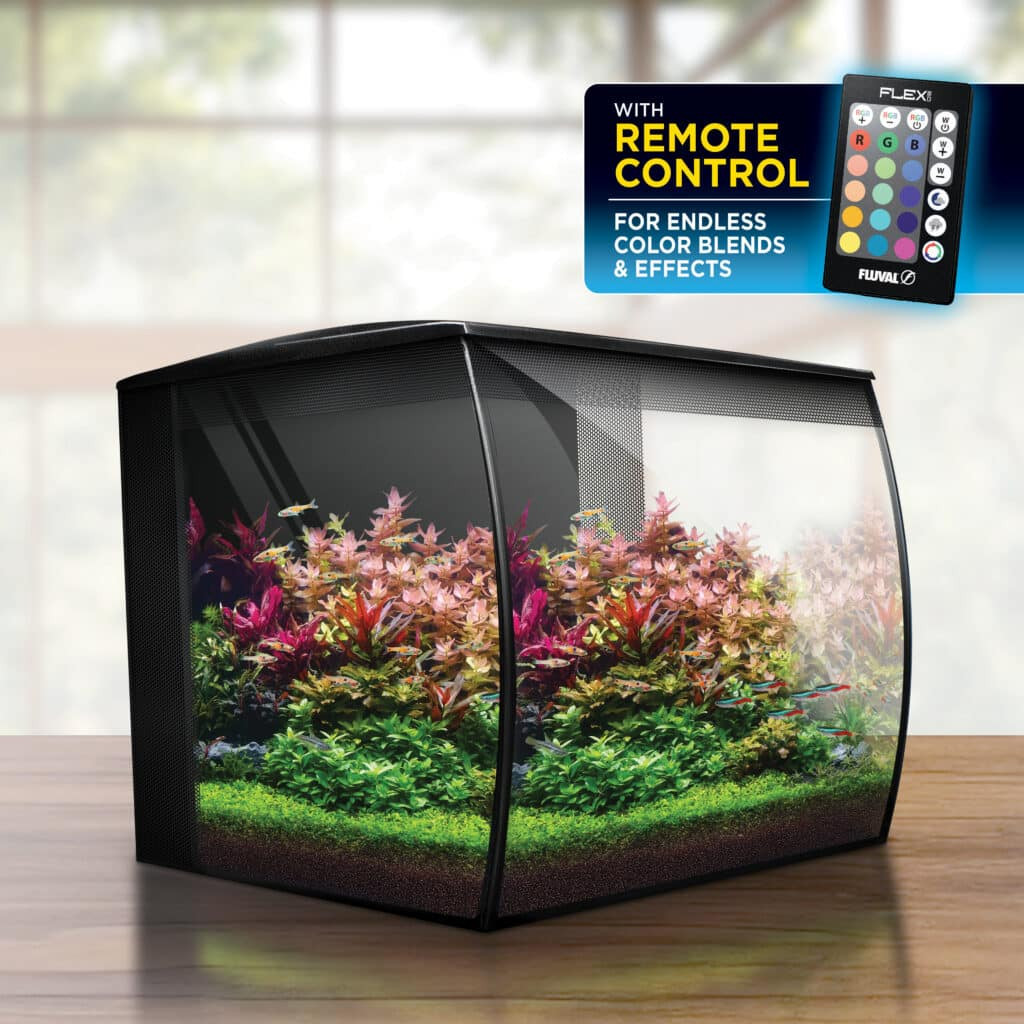 Fluval Flex 2.0 9 gal Aquarium Kit, Black | AquaCave