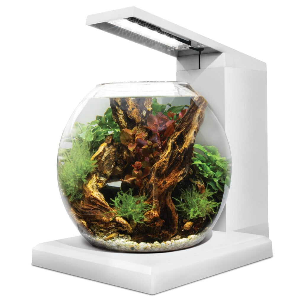 Fluval LIV Microscaping Aquarium Kit 1.6 Gallon - White